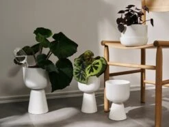 Iittala Iittala Watering Bottle, 2 Pcs 8 Iittala Iittala Watering Bottle, 2 Pcs -Iittala 1051840 iittalaemea 04 iittala watering bottle 2set