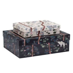 Iittala Taika Storage Box, 2 Pcs, 15 Year Anniversary