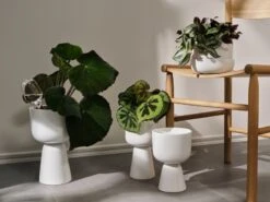 Iittala Iittala Watering Bottle, 2 Pcs 9 Iittala Iittala Watering Bottle, 2 Pcs -Iittala Iittala 2021 Nappula 05