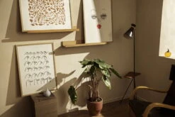 Iittala OTC Art Poster, All You Need 7 Iittala OTC Art Poster, All You Need -Iittala Iittala 2021 OTC Art poster Cheetah Birdhouse All you need