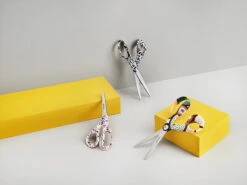 Iittala FXI Helle Scissors 21 Cm 11 Iittala FXI Helle Scissors 21 Cm -Iittala Iittala 2021 Oiva Toikka Collection 05