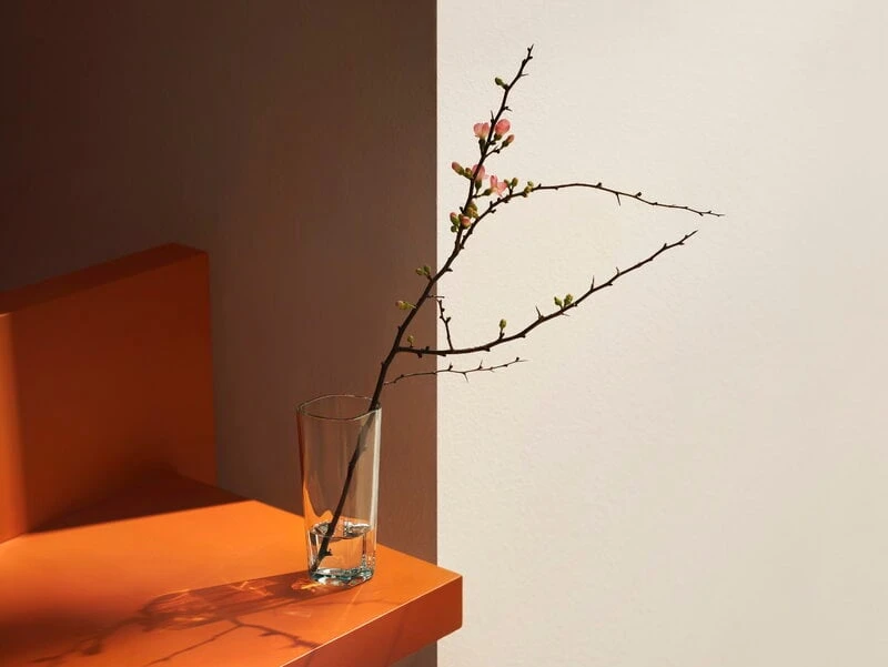 Iittala Aalto Vase, 180 Mm, Clear 5 Iittala Aalto Vase, 180 Mm, Clear - Image 3