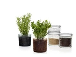 Iittala Kastehelmi Jar 116 X 114 Mm, Clear 11 Iittala Kastehelmi Jar 116 X 114 Mm, Clear -Iittala Kastehelmijargreydesertcleargroup 2 1